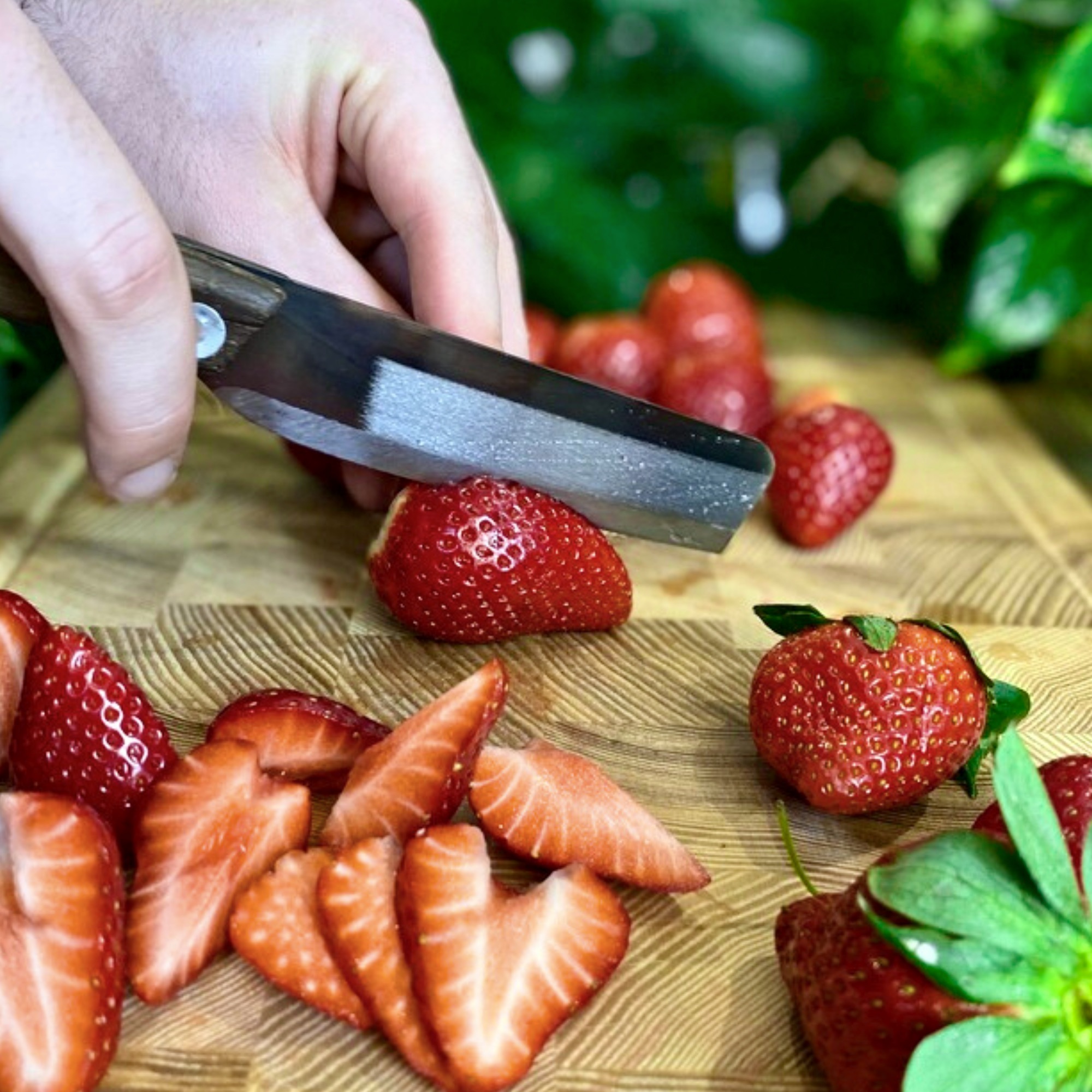 🍓❤️ Es ist endlich wieder Erdbeerzeit! Wer liebt diese saftigen, roten Früchte nicht? 😍 Aber bevor wir uns in köstliche Erdbeerrezepte stürzen, lass uns über die richtige Art und Weise sprechen, Erdbeeren zu schneiden. 🤔💭

Hier sind ein paar Tipps für die perfekte Verarbeitung von Erdbeeren:
1️⃣ Verwende scharfe Klingen für präzises Schneiden. Mit unseren vietnamesischen Messern von AUTHENTIC BLADES  wird das Schneiden zum Kinderspiel – ganz ohne die Beere zu zerdrücken. 🔪✨
2️⃣ Entferne den Strunk vorsichtig, indem du mit einem kleinen Messer einen kreisförmigen Schnitt um ihn herum machst. Perfekt eignen sich hierfür unsere Messer VAY oder TAU LON.
3️⃣ Damit die Beeren gut saften, schneide sie in gleichmäßige Scheiben. So erreichst du eine schöne Präsentation in deinen Gerichten und erhältst zusätzlich den leckeren Saft.

Jetzt bist du dran! Teile deine Lieblings-Erdbeerrezepte in den Kommentaren mit uns. 🍓💬 

#erdbeerzeit #erdbeeren #erdbeere #erdbeerliebe #erdbeerrezepte #authenticblades #rezeptideen